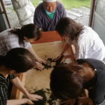 川根茶体験メニュー