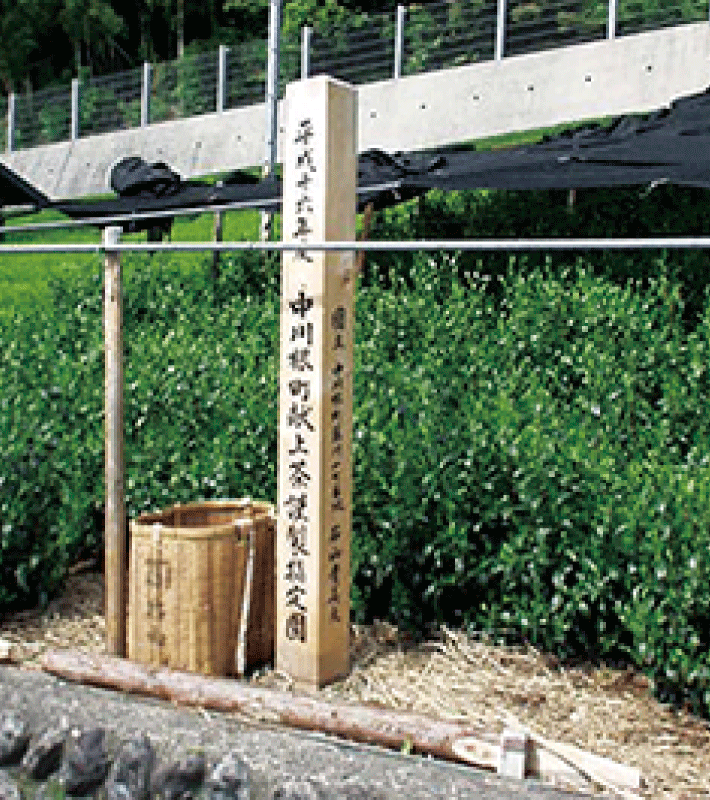 皇室への献上茶指定と献上の記録